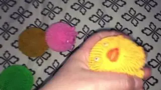 Squishy Farm Critters Reivew