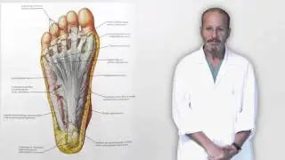 23 Fascitis Plantar en el deportista 2