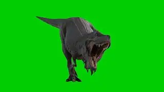 Dinosaur green screen #greenscreen