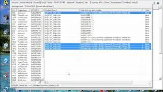 RShield Bypass Rev 3.0 Public