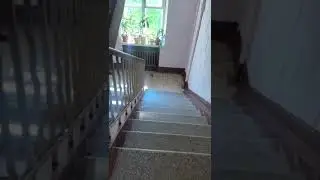 Будни фрилансера 👌 #юмор