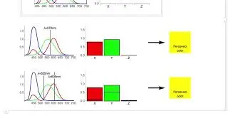 Introduction to Image Processing: Color