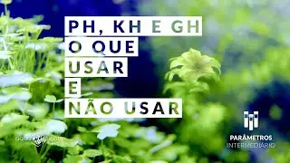 Aquário Plantado - PH, KH e GH: O que usar e não usar - Parâmetros - Intermediário