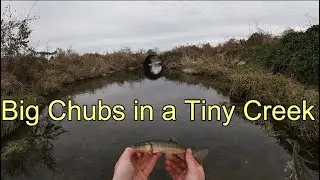 Greene County Ohio Microfishing