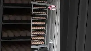 Краткий обзор на инкубатор Стимул 1000М1