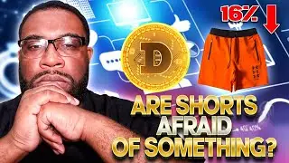 Dogecoin Shorts Are Running Down & Price is Running Up | Why? | Dogecoin News