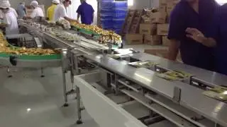 Automated Paper Feeding, Dispensing, Spraying & Packing Machine
