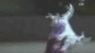 Sprite commercial