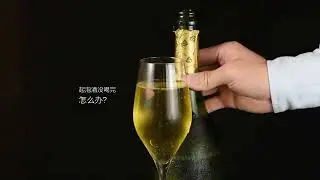 Вакуумная пробка для шампанского Xiaomi Circle Joy Champagne Stopper