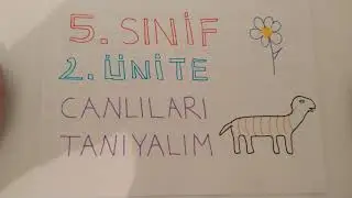 5. SINIF 2. ÜNİTE CANLILARI TANIYALIM