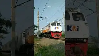KA SEMBRANI - CC 206 13 29 SDT #train #keretaapi #cc206 #sembrani #daop1