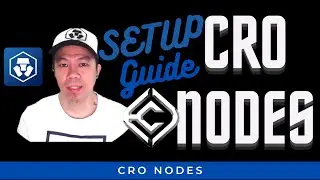 CRO Node Setup Guide