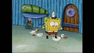 QUACK