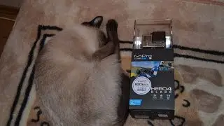 Анбоксинг экшен-камеры GoPro Hero4 Black Edition