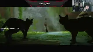 On commence l'aventure sur Stray (rediffusion d'un live)