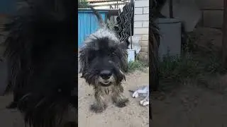 Вот Такие Друзья, С детства.