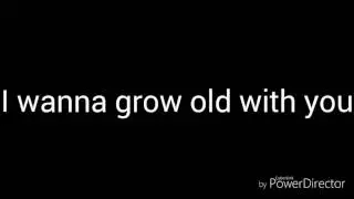 I wanna grow old with you- sang by Adam Sandler (Lyric Video)
