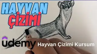 Udemy'deki en iyi Hayvan Çizimi Kursu
