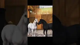 The last..  