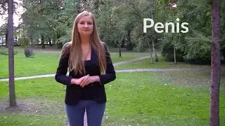 Penis