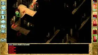 Alora: the bloodthirsty halfling