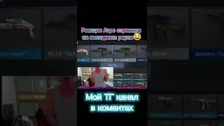 Реакция Агро  стримера на рарку