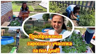 ЧТО ДЕЛАТЬ С ЗАРОСШЕЙ ДАЧЕЙ?ЗАРОСШИЙ УЧАСТК/КАК ИЗБАВИТСЯ ОТ СОРНЯКОВ?/РАСПАКОВКА ОПРЫСКИВАТЕЛЬ ЖУК