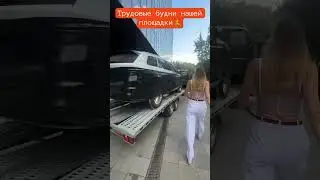 Запаковали машины. #shorts Лиса рулит