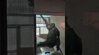 SLIVKI SHOW и человек в костюме обезьяны