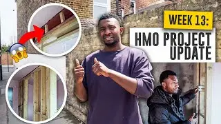 Week 13: HMO Project Update | How it's going!