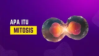 Apa itu mitosis - smart in 2 minutes