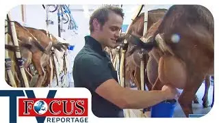 Agriculture - Between farm decline and rural life | Focus TV report