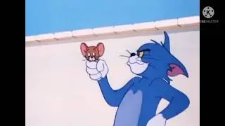 tom and jerry malayalam