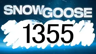 1300PP ON SNOW GOOSE