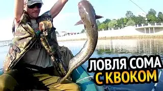 РЫБАЛКА НА СОМА С КВОКОМ!!! ПОДЪЁМ ЗА ПОДЪЁМОМ А РЕАЛИЗАЦИЙ НОЛЬ. РЕКА СОЖ. РЫБАЛКА В БЕЛАРУСИ.
