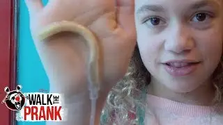 Snot | Walk the Prank | 