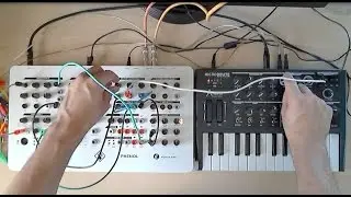 MicroBrute and PHENOL CV Connection