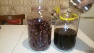 Blackthorn Tincture