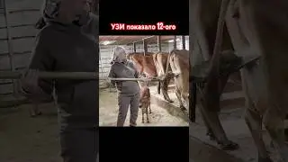 АКТРИСА С БЭБИ-БАМПОМ 