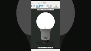 Bulb 
