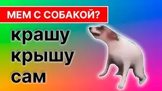 мем собака танцует 
