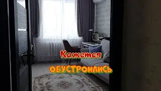 Устроились на новом месте