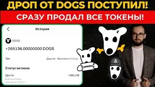 🔥 ДРОП ОТ DOGS УЖЕ ПОСТУПИЛ! ПРОДАЛ ВСЕ СВОИ ТОКЕНЫ!