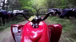 Quick Trail From Waddel East