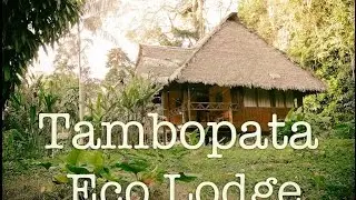 We stayed in a rainforest lodge in Peru 🇵🇪