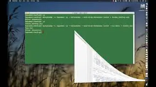 MySQL: Backing up with mysqldump