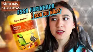 FARINHADA REINO DAS AVES É BOA?