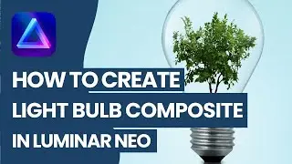 Luminar NEO: Light Bulb & Tree Photo Manipulation