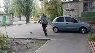 Штаны превращаются (2015)