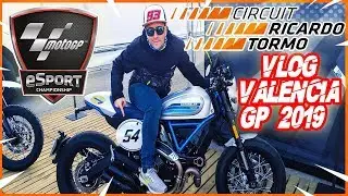 🏆 EPIC VLOG VALENCIA GP 2019 *MOTOGP FINAL DE TEMPORADA* 🏆